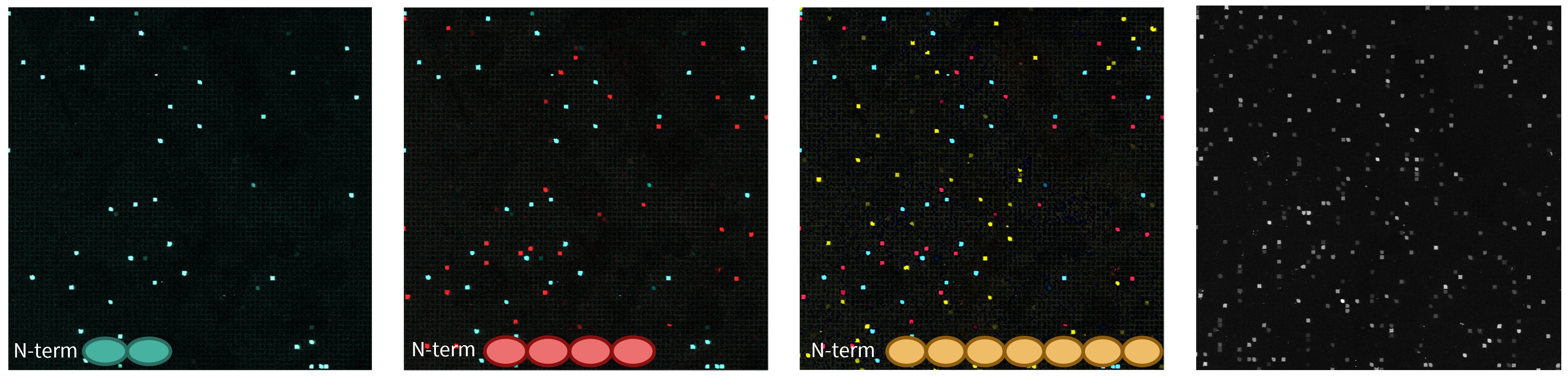 Aligned and colored screen images - with icons