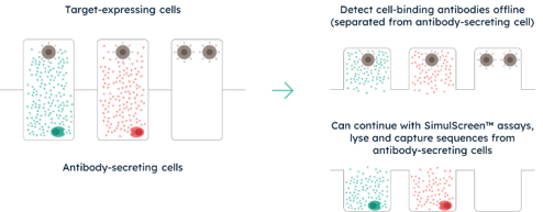 CaseStudy1