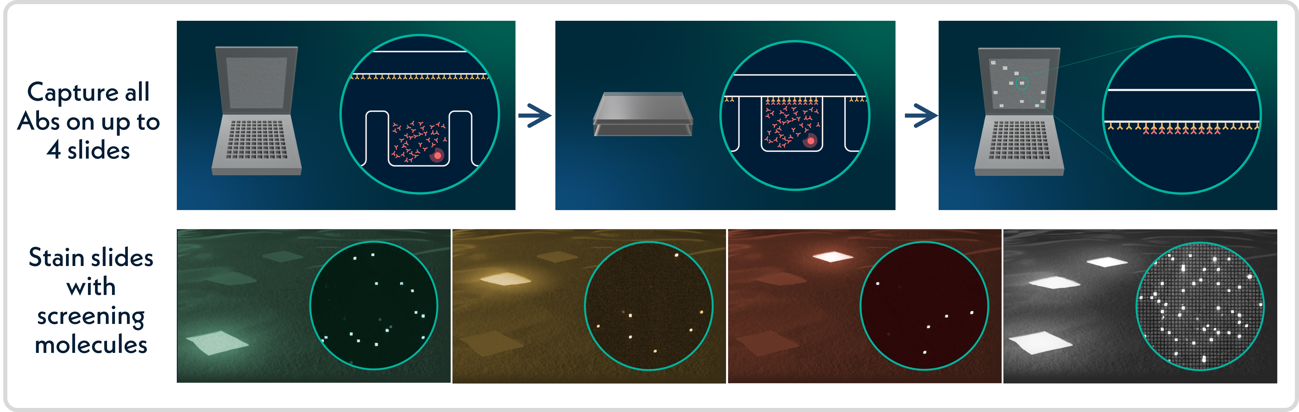 Figure 1 - capture process