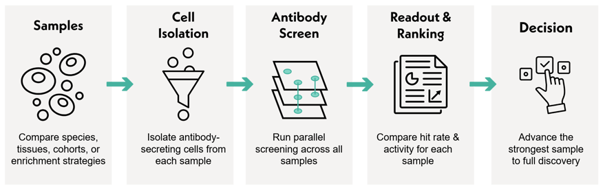 First Look Diagram-1