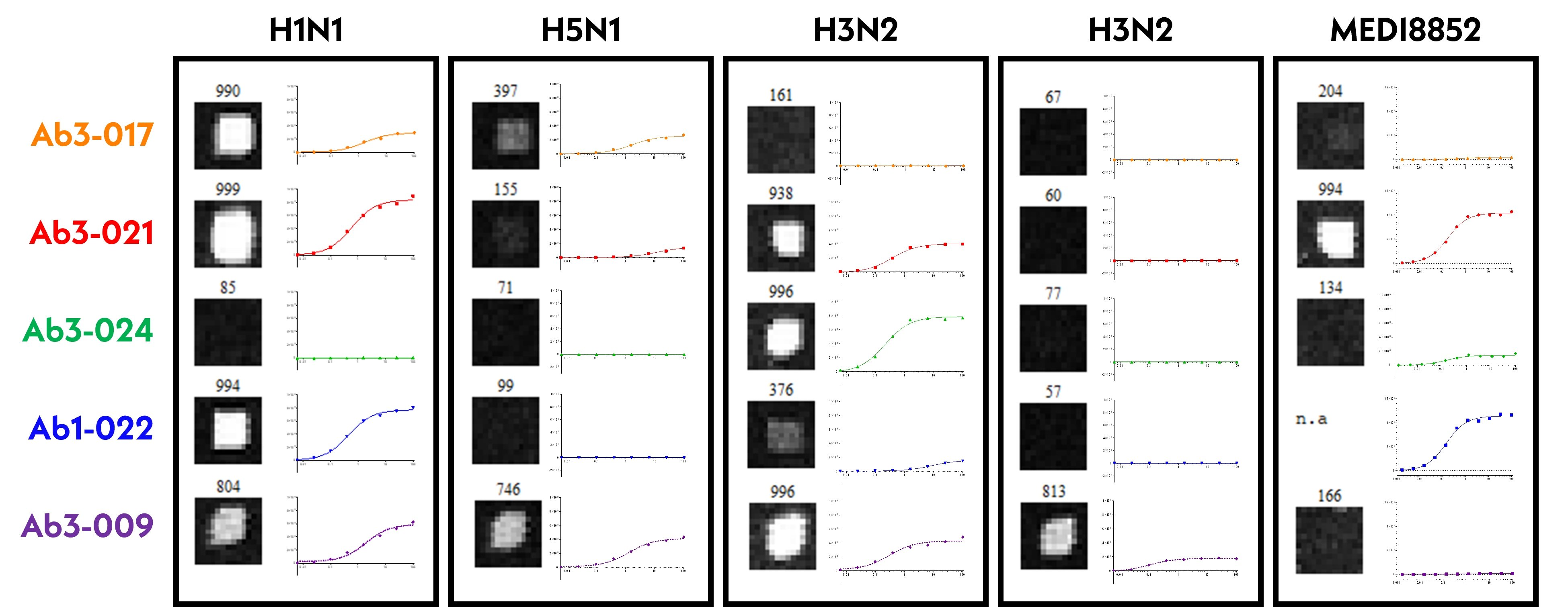PEGS24 talk flu validation figure