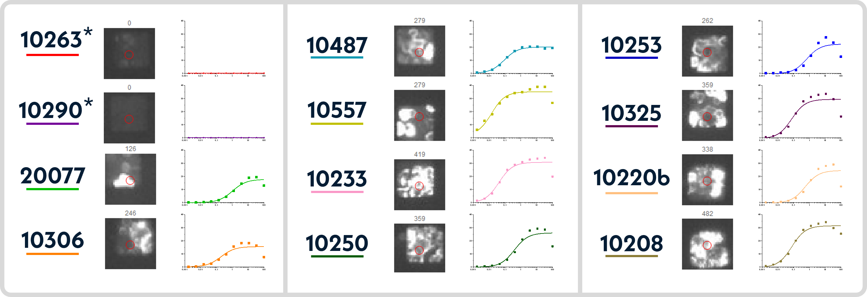 Validation of SurfScreen for 12 expressed antibodies (2 non-cell binding and 10 cell-binding)