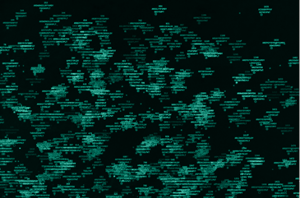 abtheneum-color-tint abtheneum-color-tint
