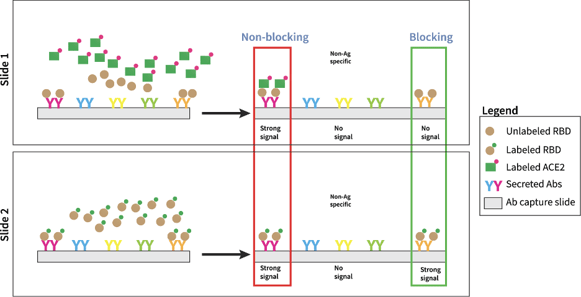 fig3