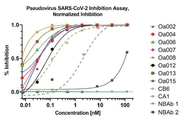 results from the pseudovirus neutralization assay.