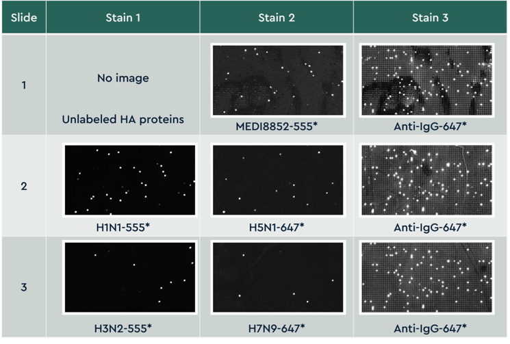 figure3