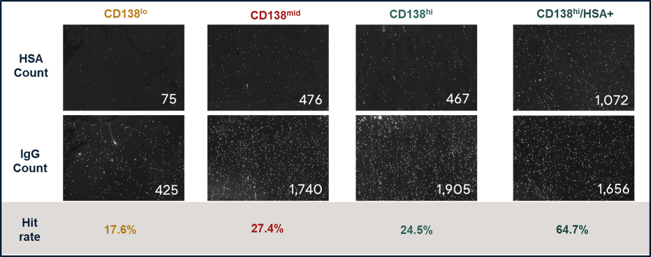 Results from antibody capture of four sorted cell populations