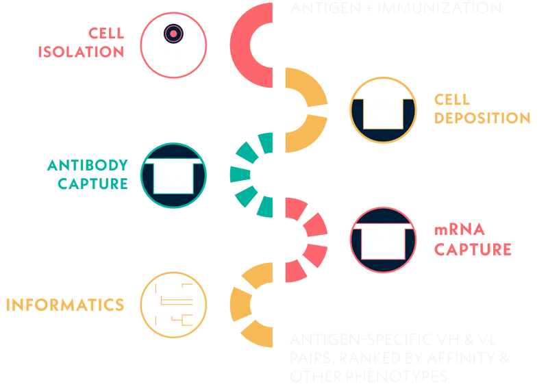 single-cell-technology-process-illustration