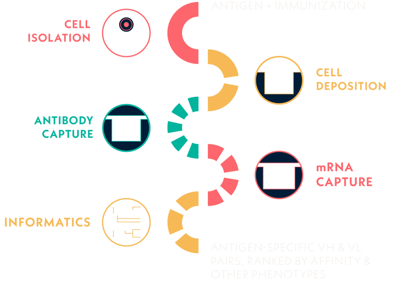 single-cell-technology-process-illustration single-cell-technology-process-illustration