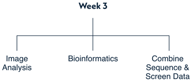 week-3-image-analysis-bioinformatics-combined-sequence