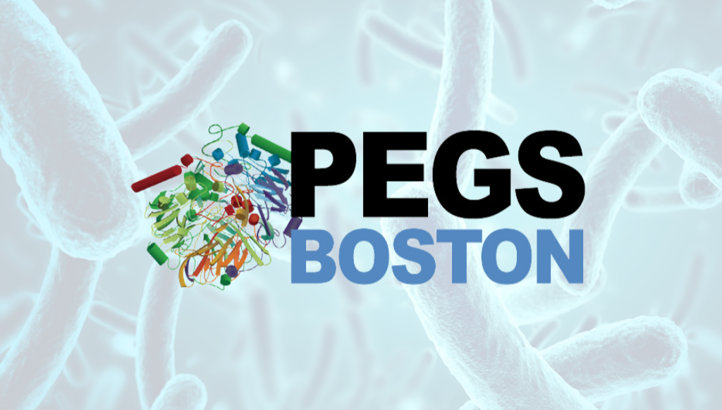 PEGS Boston Summit preview image
